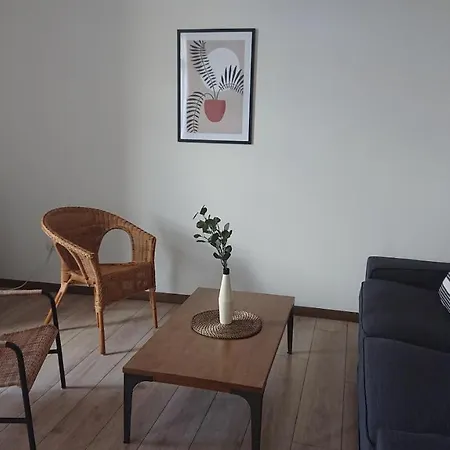 L'amaryllis, Beau T4 Contemporain Et Lumineux En Centre 3 Etoiles Appartement *